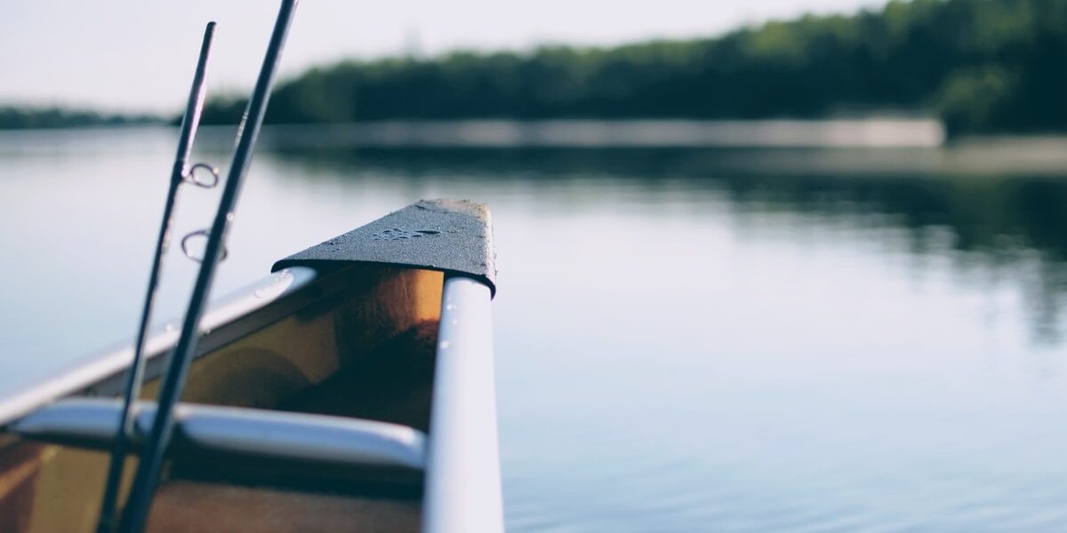 Saltwater Fishing Rods That Work