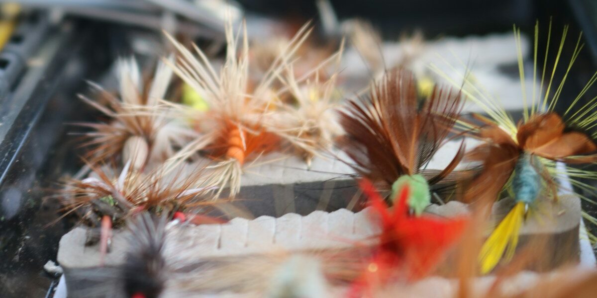 My First Blue Marlin: 8 Hours in a Fighting Chair, 47 Minutes of Actual Fight