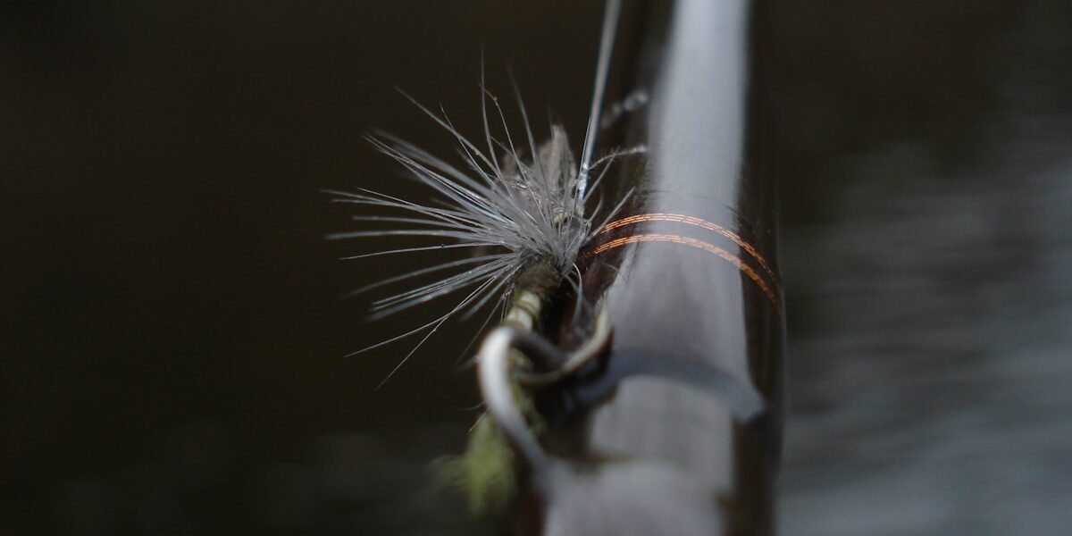 My Personal Best Largemouth: 11 Pounds, Pre-Spawn, on a $3 Senko