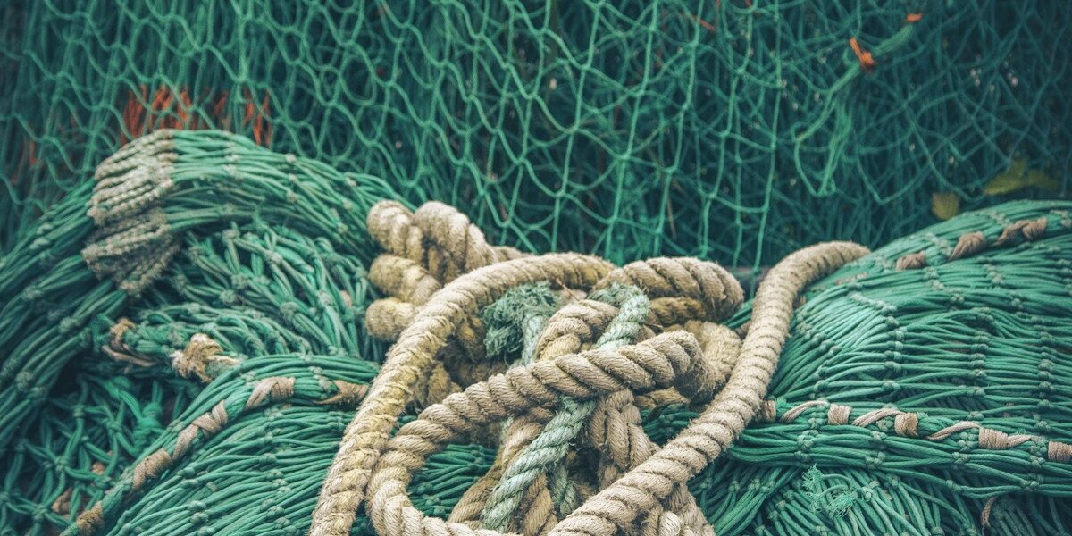 Gear Update: Pflueger President First Impressions