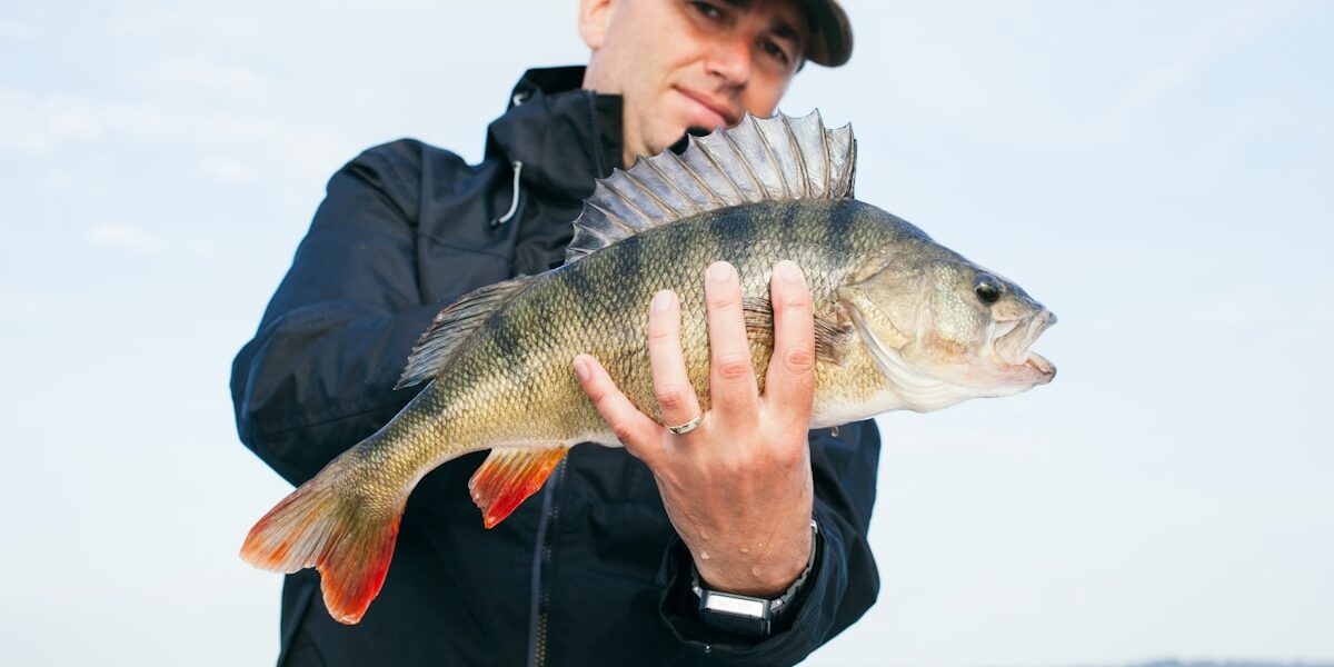 The Complete Guide to Finding Bass in Any Season