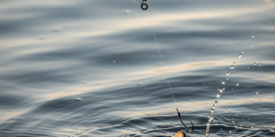 Why Your Fishing Hook Keeps Missing Every Strike